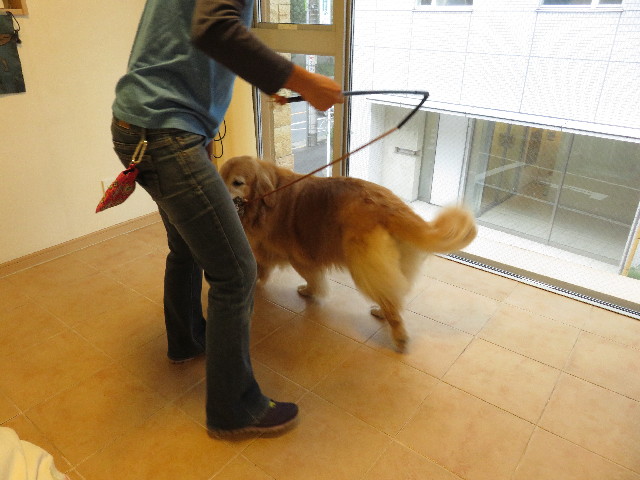 ファイル 5173-3.jpg