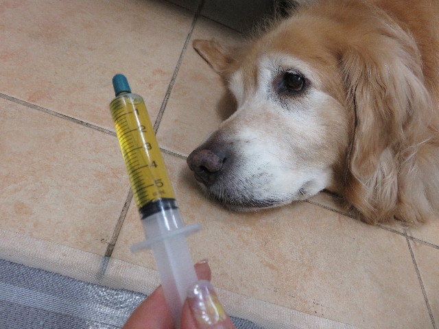 ファイル 5173-5.jpg