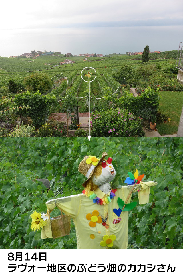 ファイル 5174-4.jpg