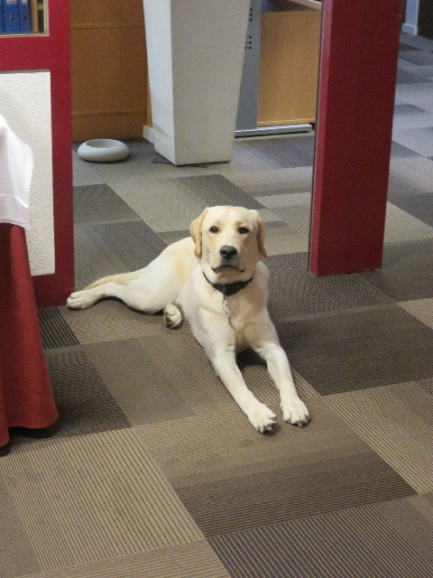 ファイル 5177-5.jpg