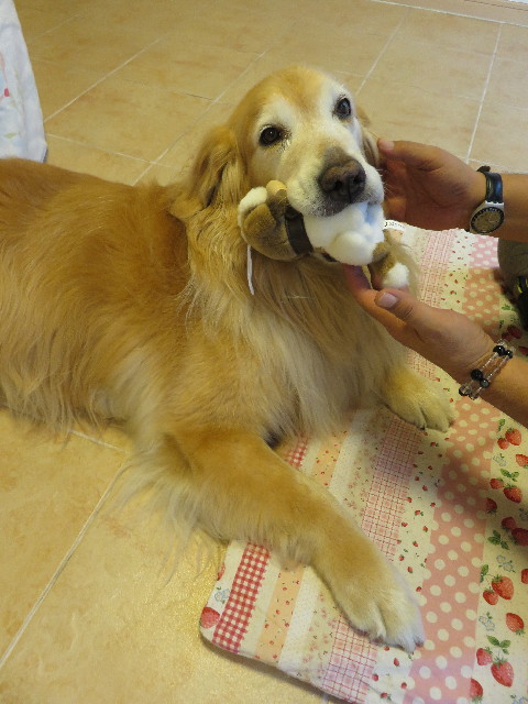 ファイル 5178-1.jpg