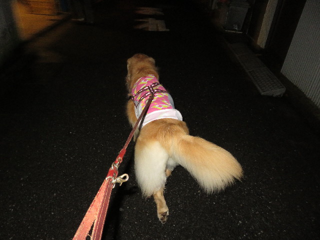 ファイル 5178-2.jpg