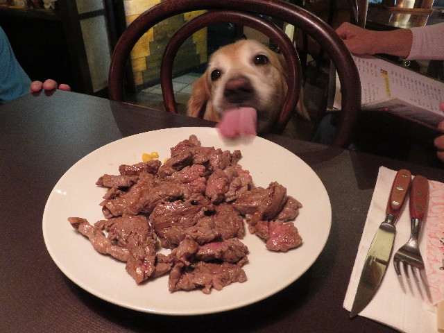 ファイル 5178-3.jpg