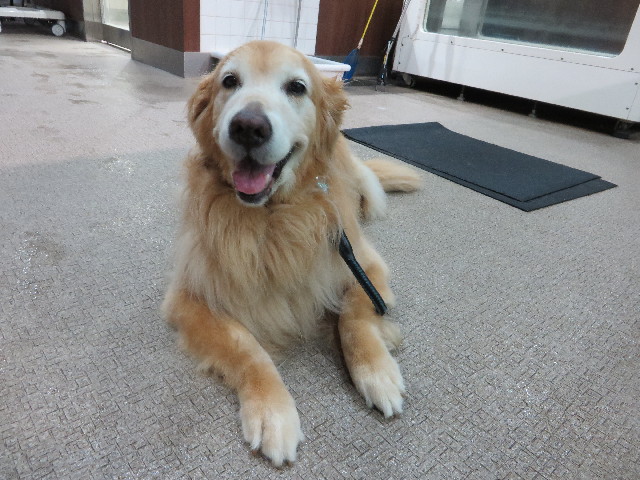 ファイル 5184-2.jpg