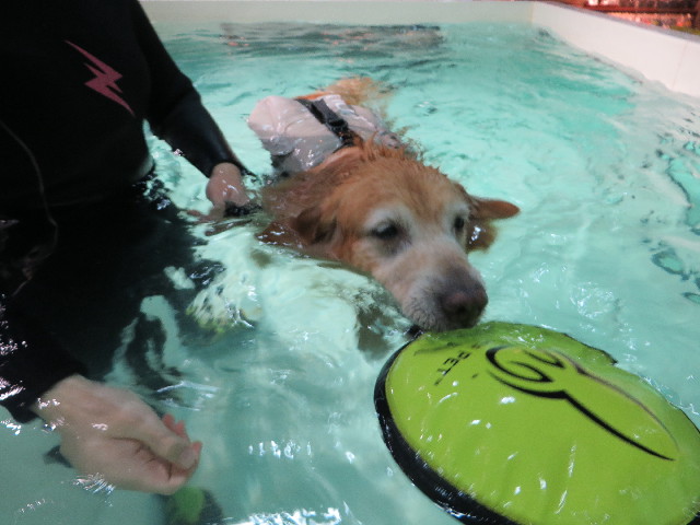 ファイル 5184-4.jpg