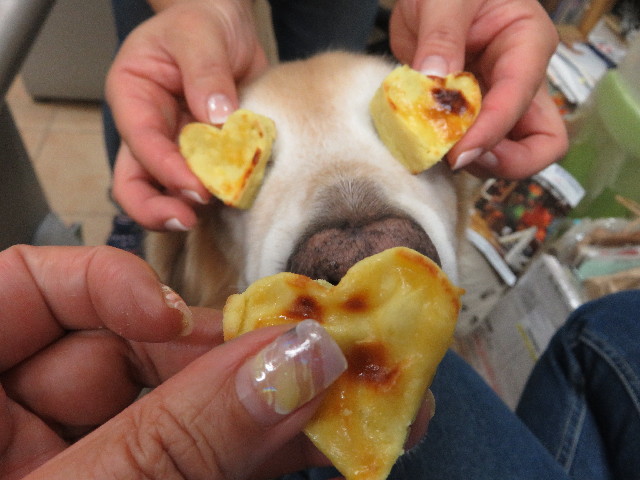 ファイル 5185-3.jpg