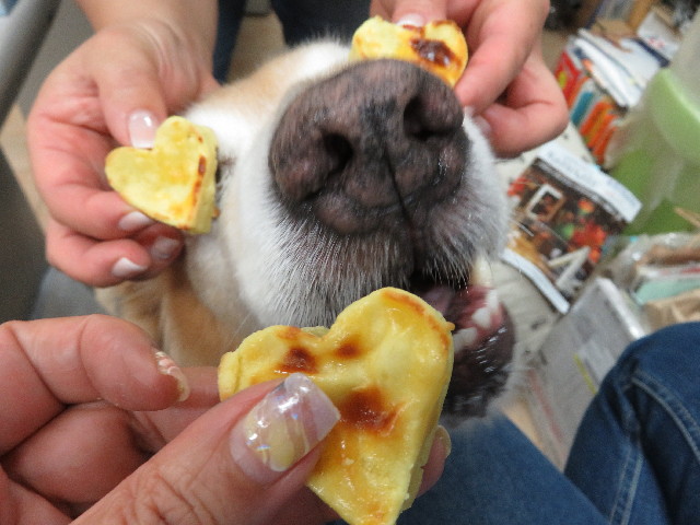 ファイル 5185-4.jpg