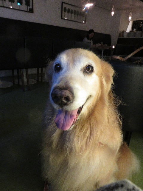 ファイル 5189-3.jpg