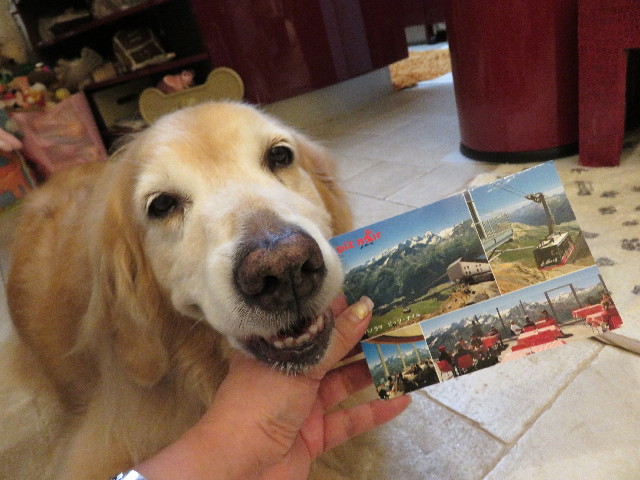 ファイル 5189-5.jpg