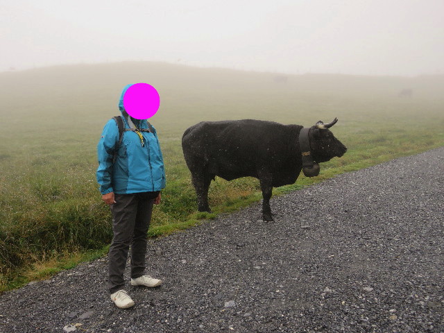 ファイル 5195-2.jpg