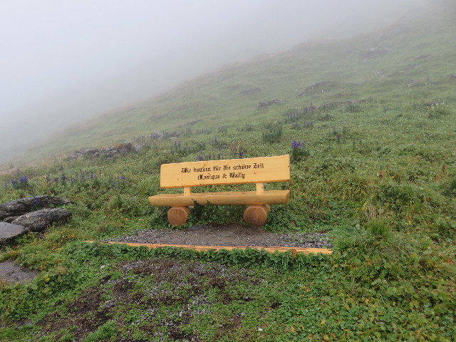 ファイル 5196-2.jpg