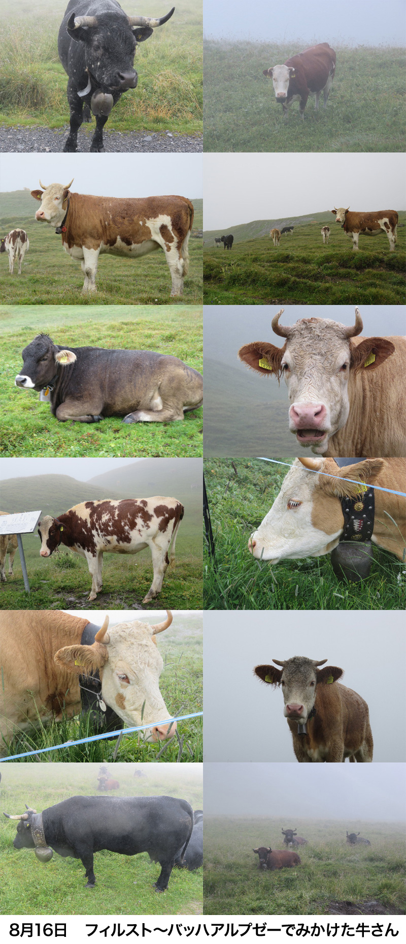 ファイル 5196-3.jpg