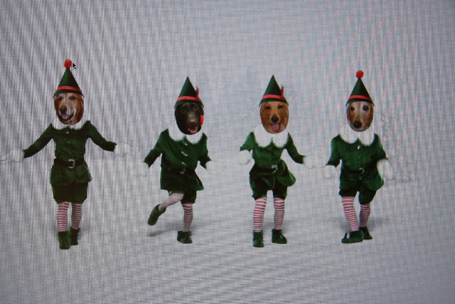 ファイル 520-1.jpg