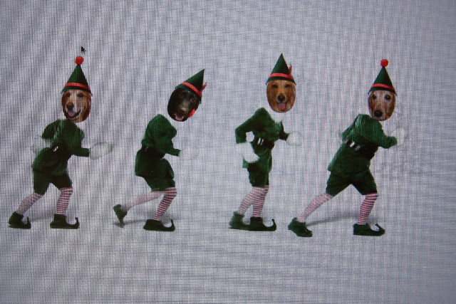 ファイル 520-3.jpg