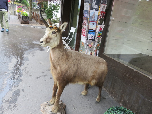 ファイル 5203-2.jpg