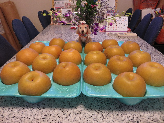 ファイル 5205-1.jpg