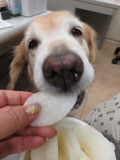 ファイル 5205-3.jpg