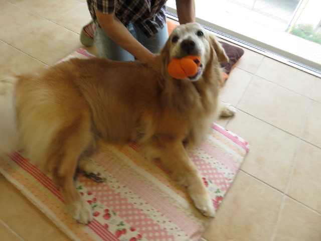 ファイル 5205-4.jpg