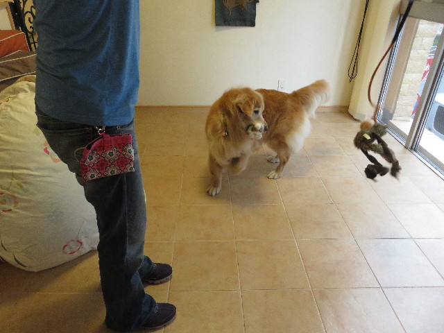 ファイル 5206-4.jpg