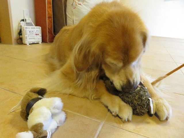 ファイル 5206-5.jpg