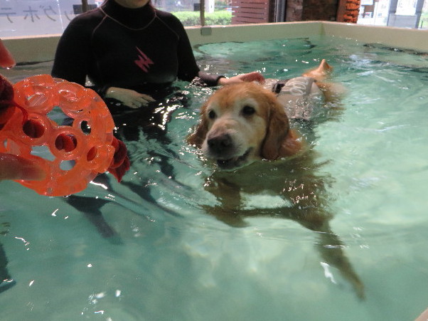 ファイル 5208-3.jpg