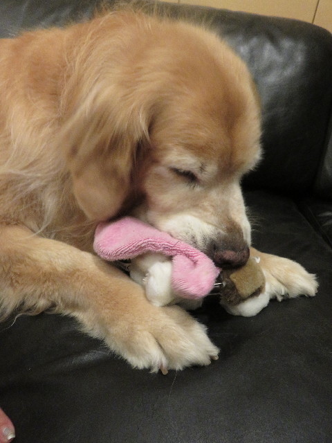 ファイル 5209-3.jpg