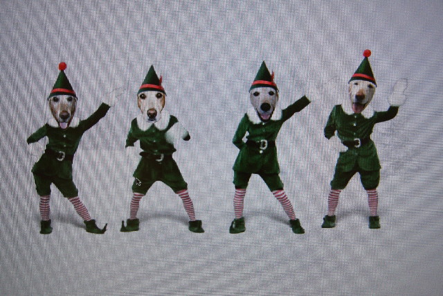 ファイル 521-2.jpg