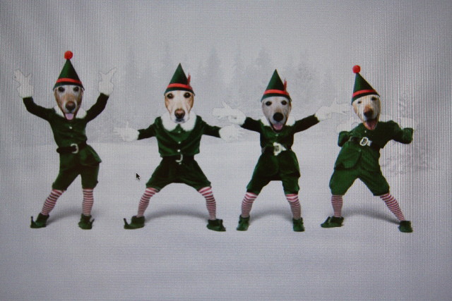 ファイル 521-5.jpg