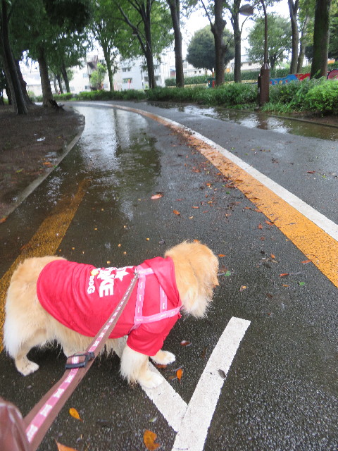 ファイル 5213-2.jpg