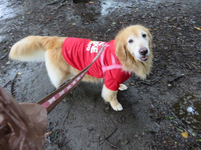 ファイル 5213-3.jpg