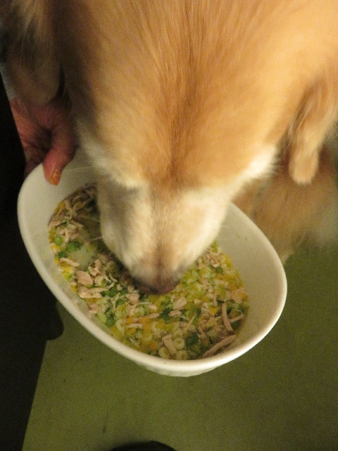 ファイル 5213-5.jpg