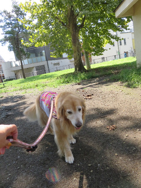 ファイル 5214-3.jpg