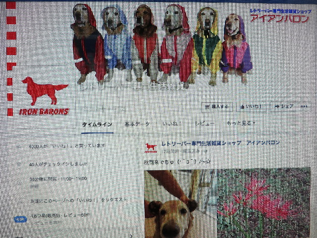 ファイル 5218-1.jpg