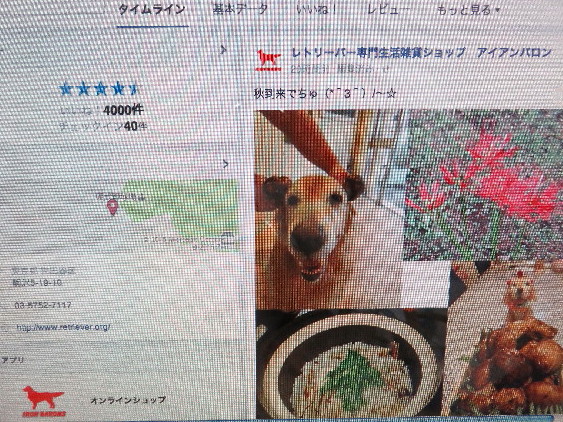 ファイル 5218-2.jpg