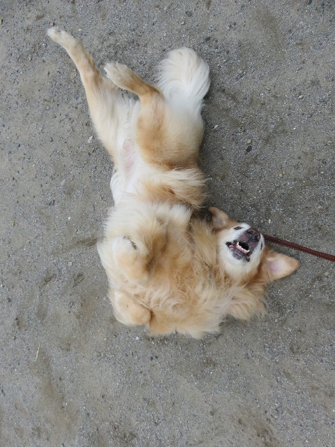 ファイル 5218-4.jpg