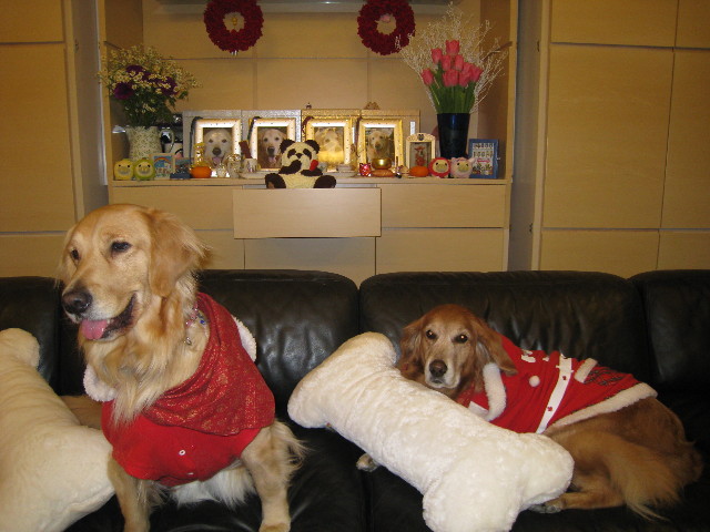 ファイル 522-2.jpg