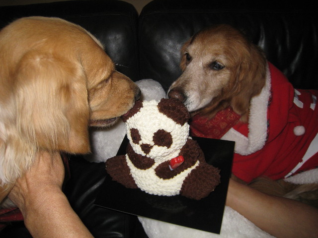 ファイル 522-3.jpg