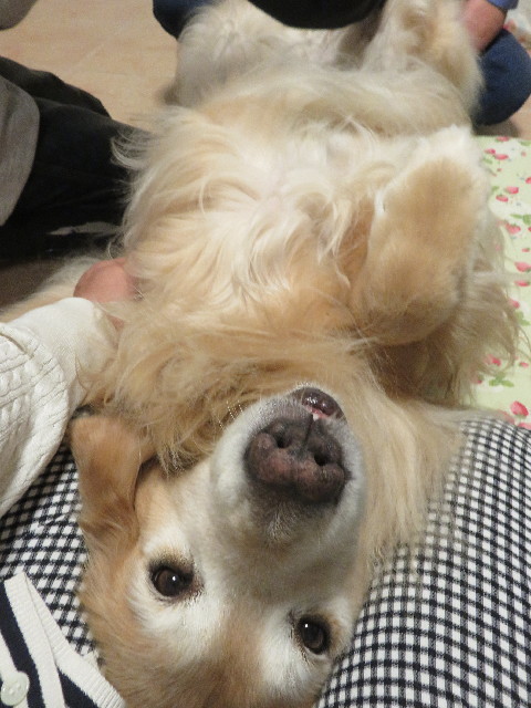 ファイル 5220-3.jpg