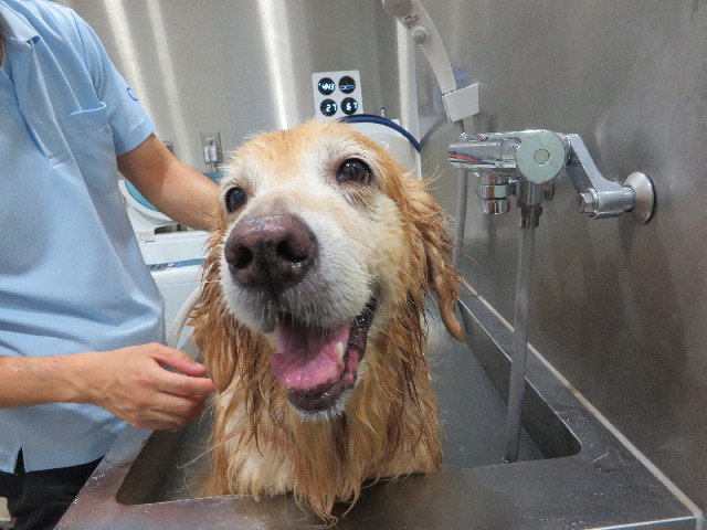 ファイル 5222-5.jpg