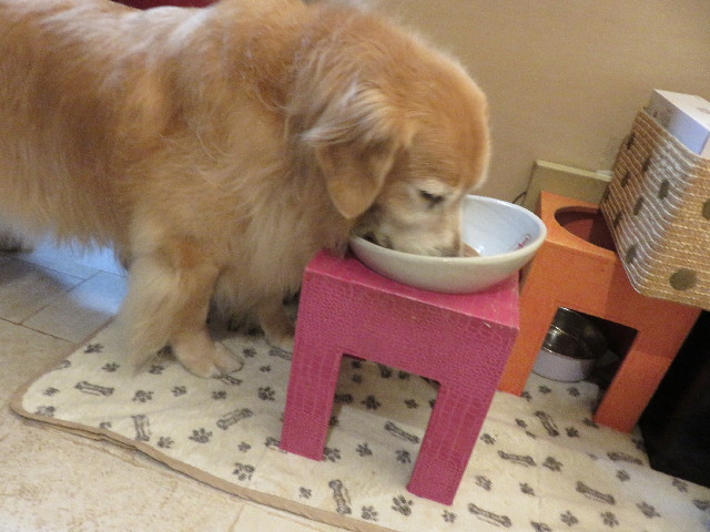 ファイル 5223-5.jpg