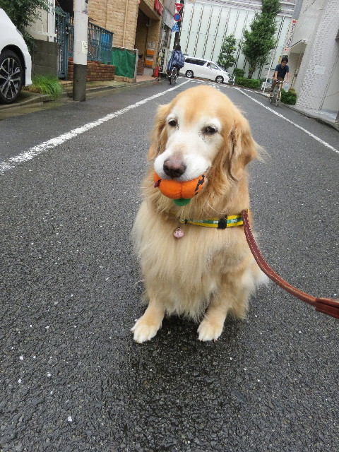 ファイル 5226-2.jpg