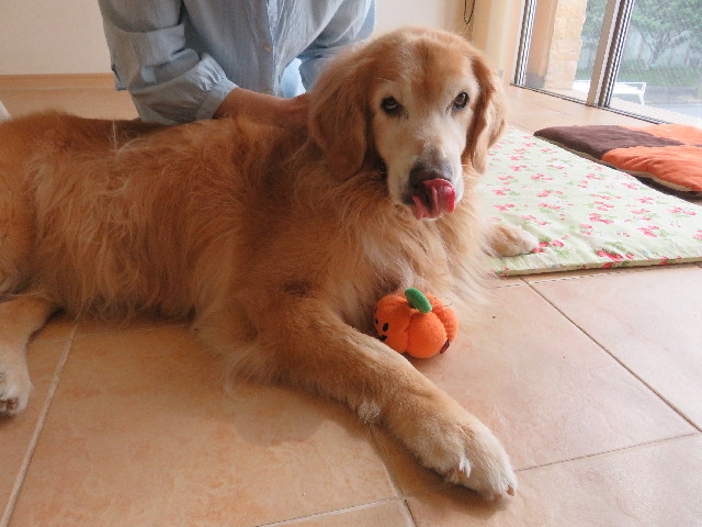 ファイル 5226-4.jpg