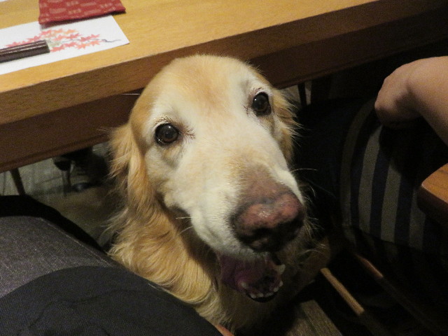 ファイル 5229-2.jpg