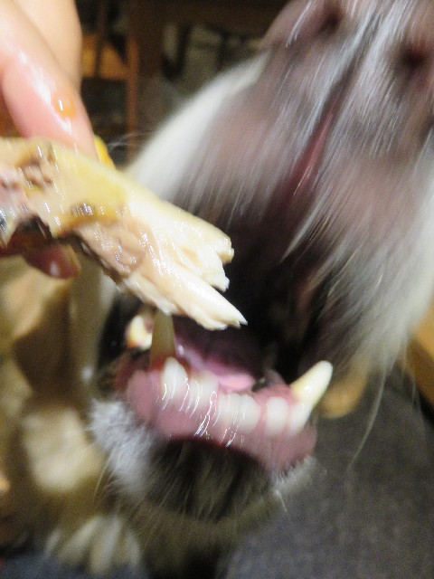 ファイル 5229-3.jpg