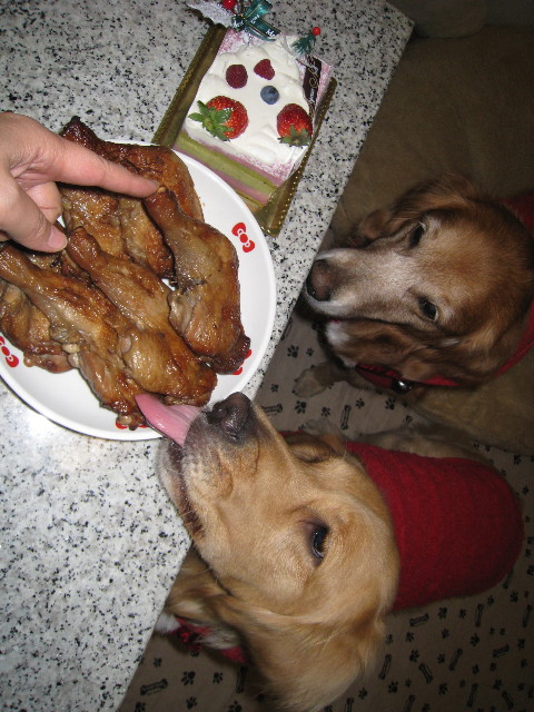 ファイル 523-1.jpg