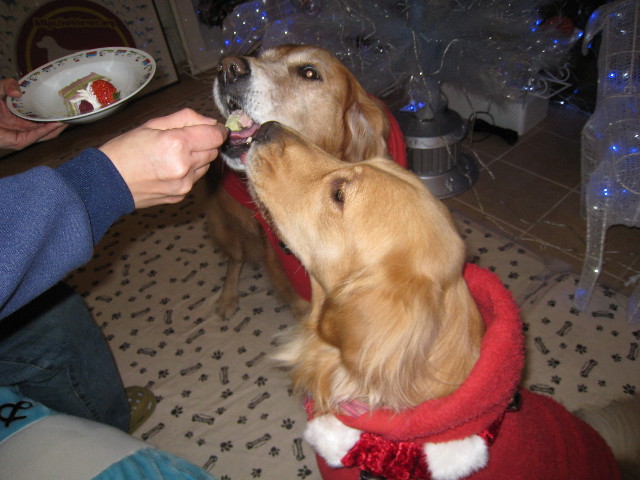 ファイル 523-2.jpg