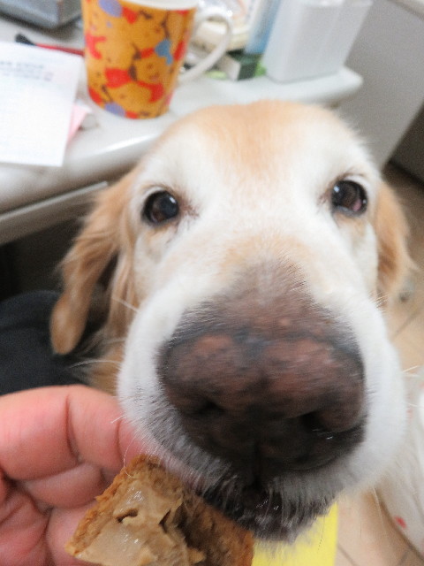 ファイル 5232-3.jpg