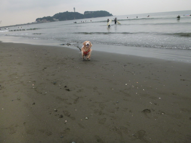 ファイル 5235-1.jpg