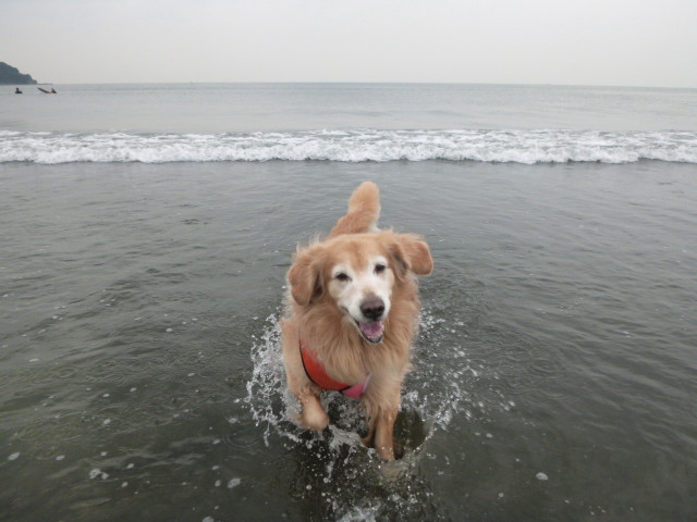 ファイル 5235-2.jpg