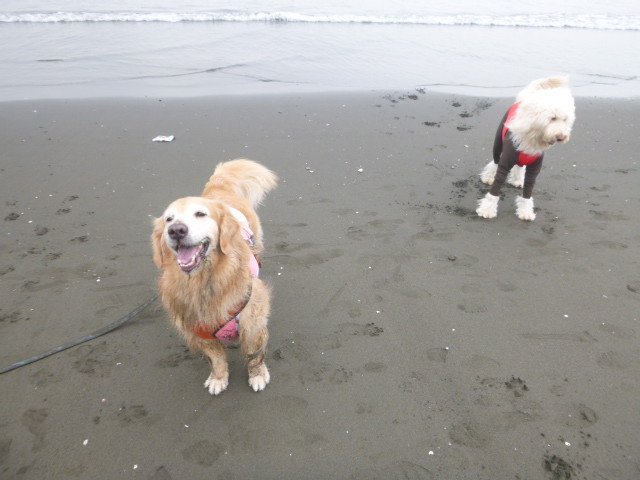 ファイル 5235-3.jpg